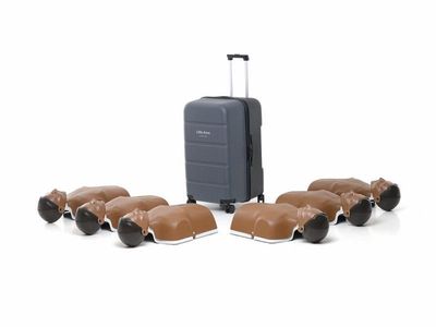Pack de 6 New Little Anne coloris noir LAERDAL