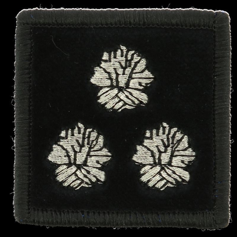 Grade contrôleur général 3 bûchers pompier