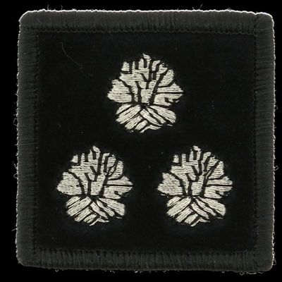Grade contrôleur général 3 bûchers pompier