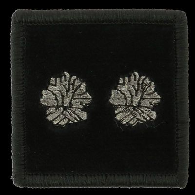 Grade contrôleur général 2 bûchers pompier