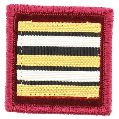 Grade médecin lieutenant-colonel pompier