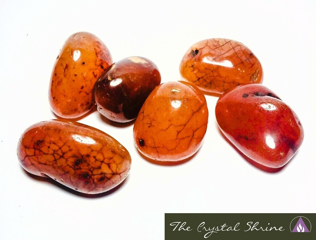 Photo of tumbled Carnelian crystal with vibrant reddish-orange hues, known for its energizing properties. Ideal for enhancing creativity, motivation, and personal empowerment. Disclaimer: Stone color, size, or shape may slightly vary from image. Each order is randomly chosen by The Crystal Shrine staff.
