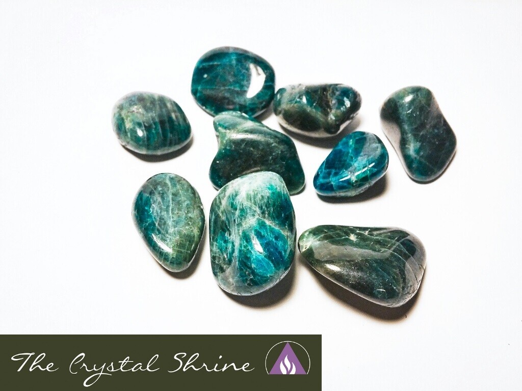 Image of a Blue Apatite tumbled crystal with vibrant blue hues, ideal for helping to enhance communication and personal growth. Perfect for wellness and crystal collecting. Disclaimer: Stone color, size, or shape may slightly vary from image. Each order is randomly chosen by The Crystal Shrine staff.