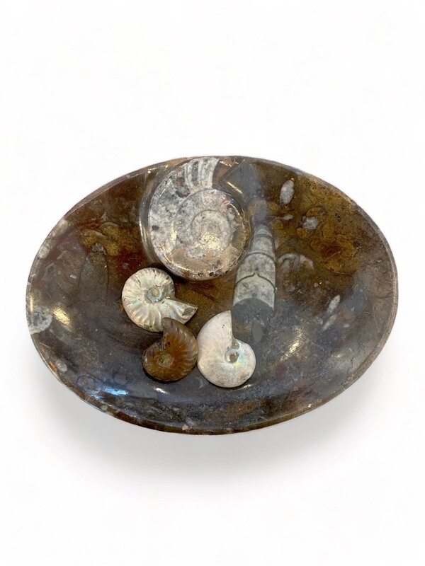 FOSSILS