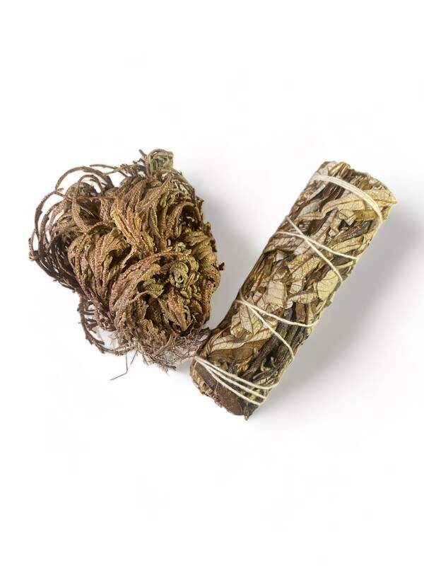 HERBS