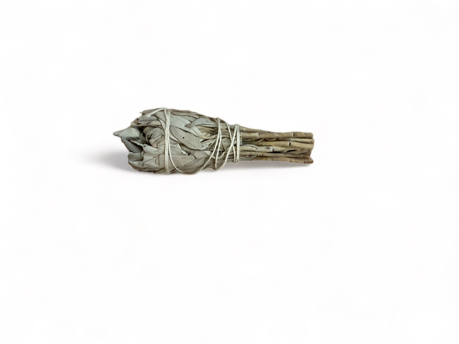 Photo of Mini White Sage in torch style, four inches long, bundled with a white cord. This sage is used for smudging, purification and ideal for enhancing clarity and well-being in spiritual practices.