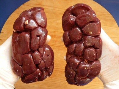 Beef Kidneys