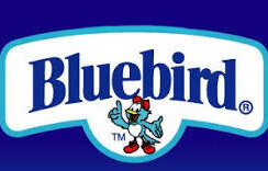 Bluebird Orange Pineapple • 34cl Can