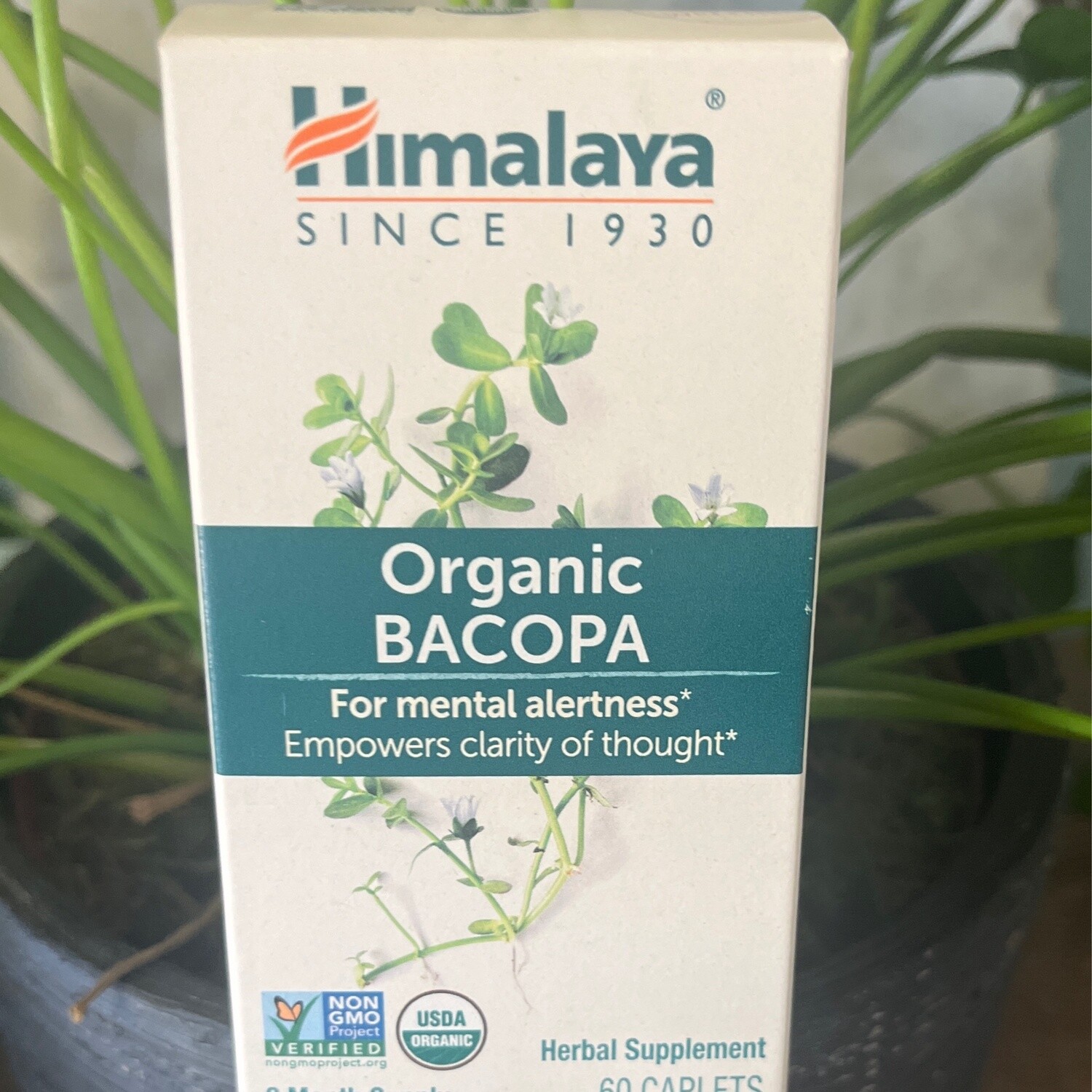 Himalaya Organic Bacopa