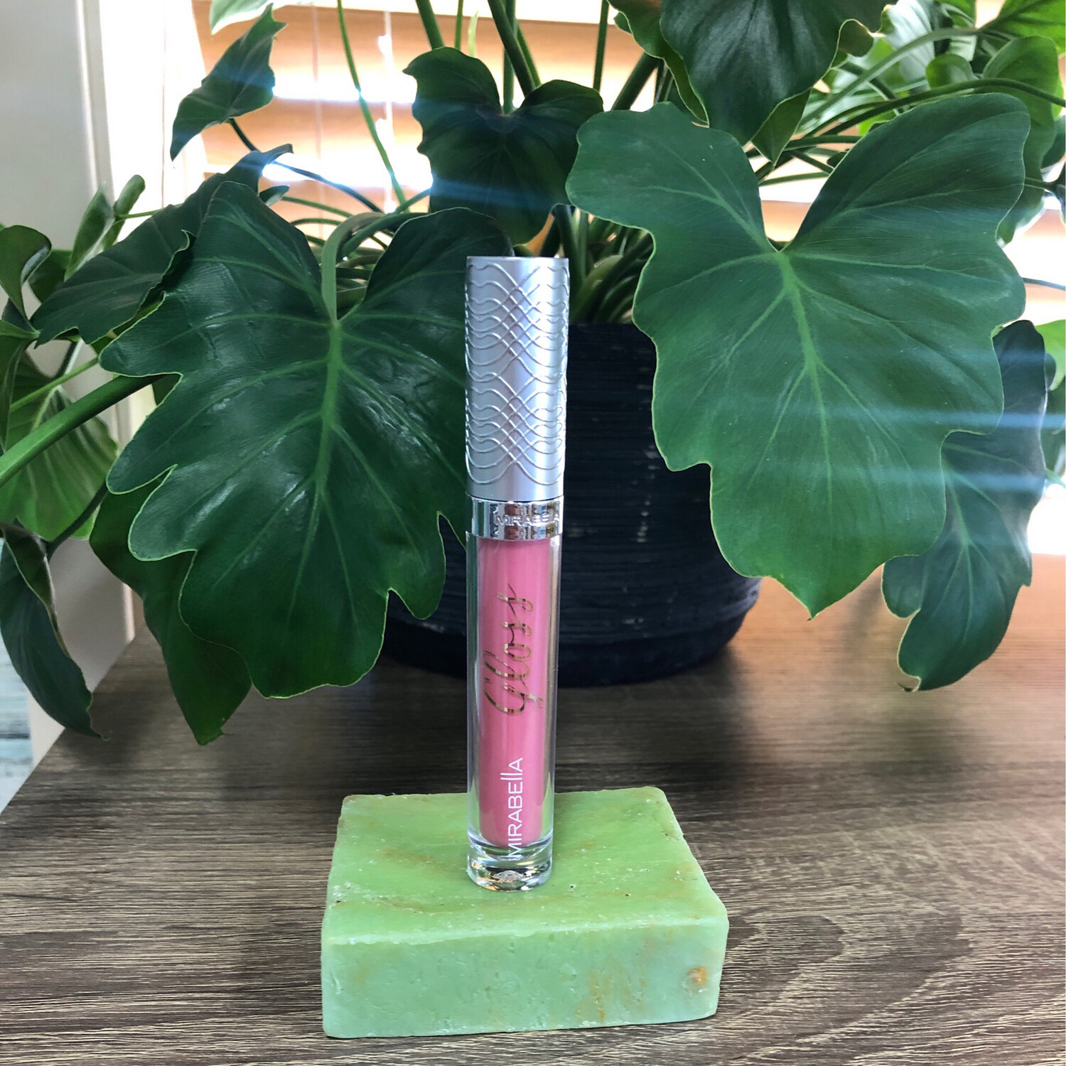 Lip Gloss Posh