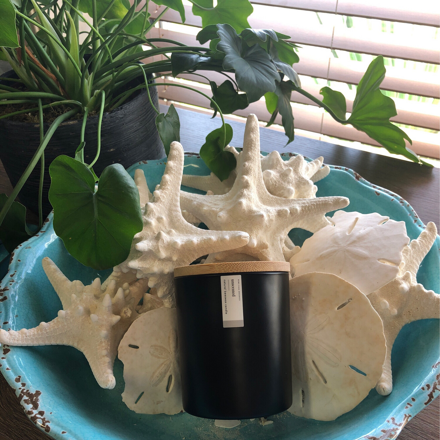 Beeswax Candle Unscented