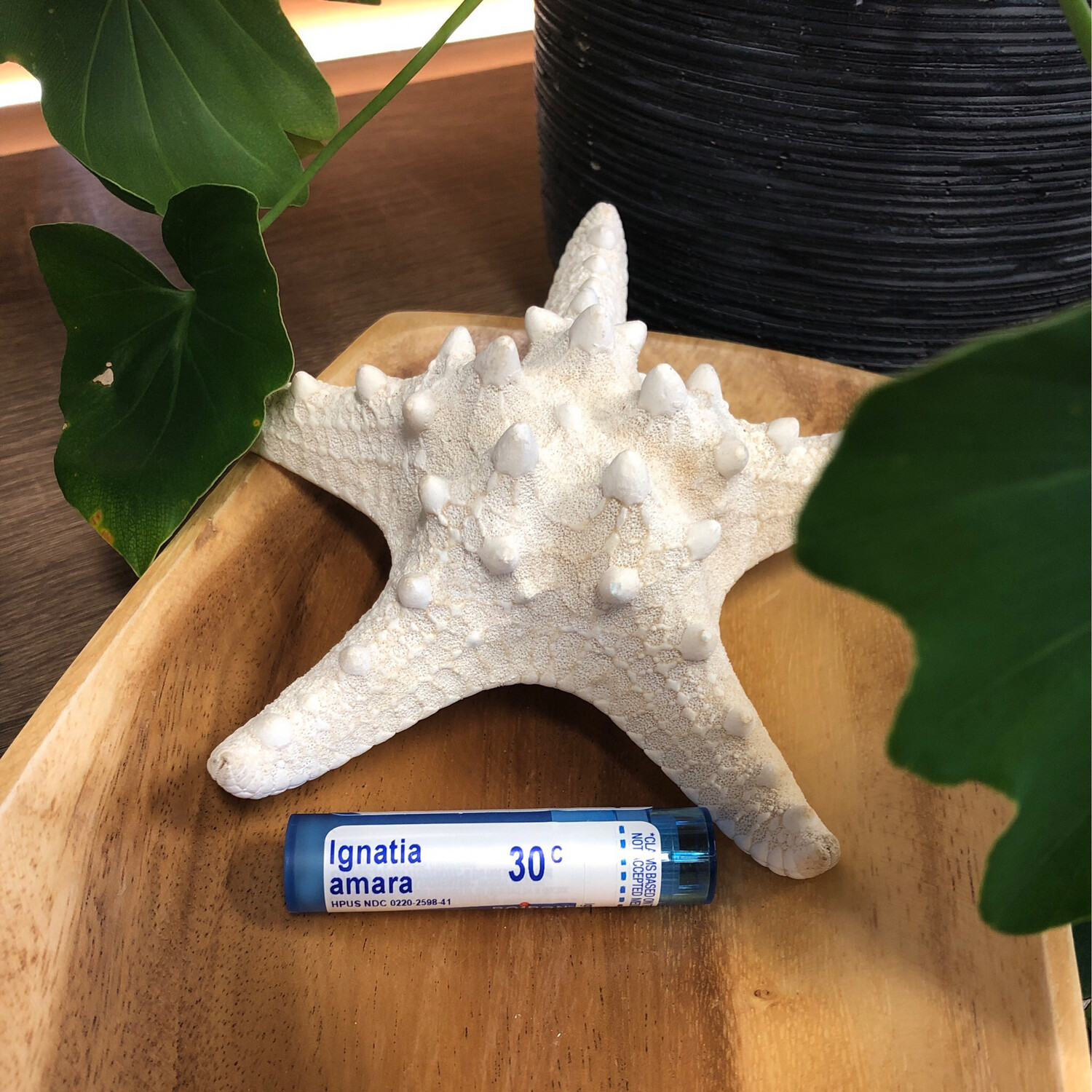 Ignatia amara (Apprehension hypersensitivity to stress)
