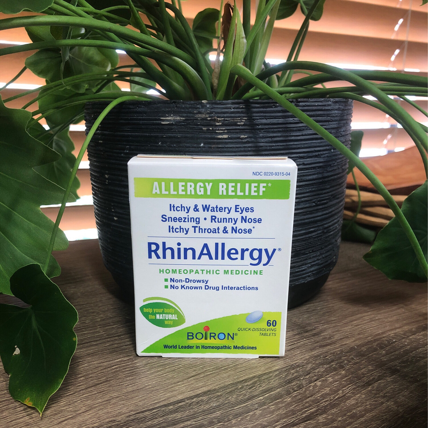 Rhin Allergy