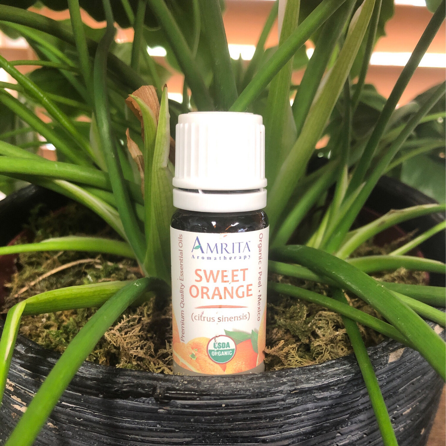 Sweet Orange Essential Oil
