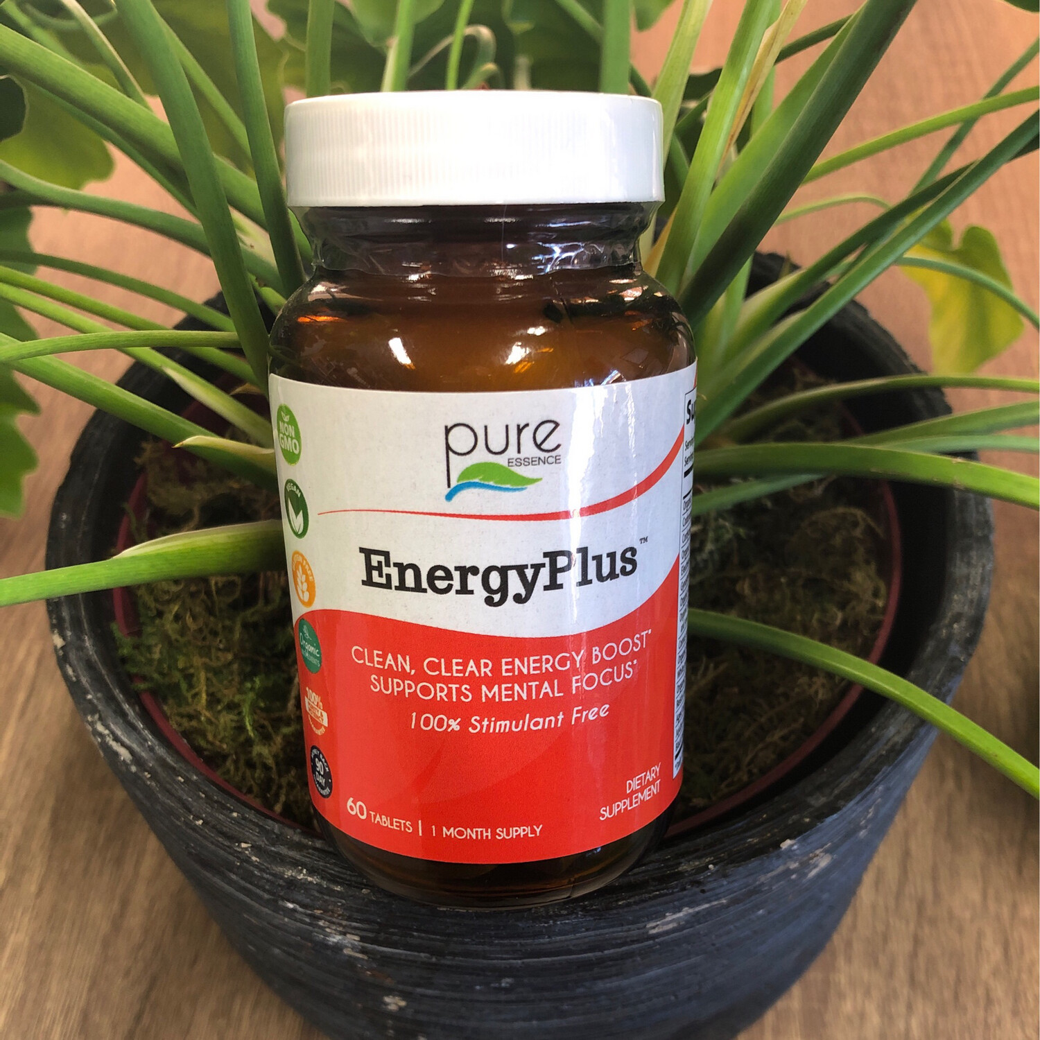 Energy Plus