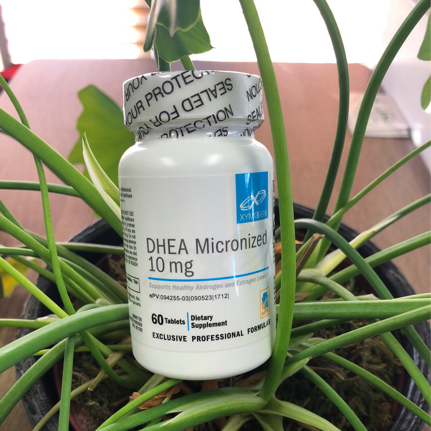 DHEA Micronized 10mg