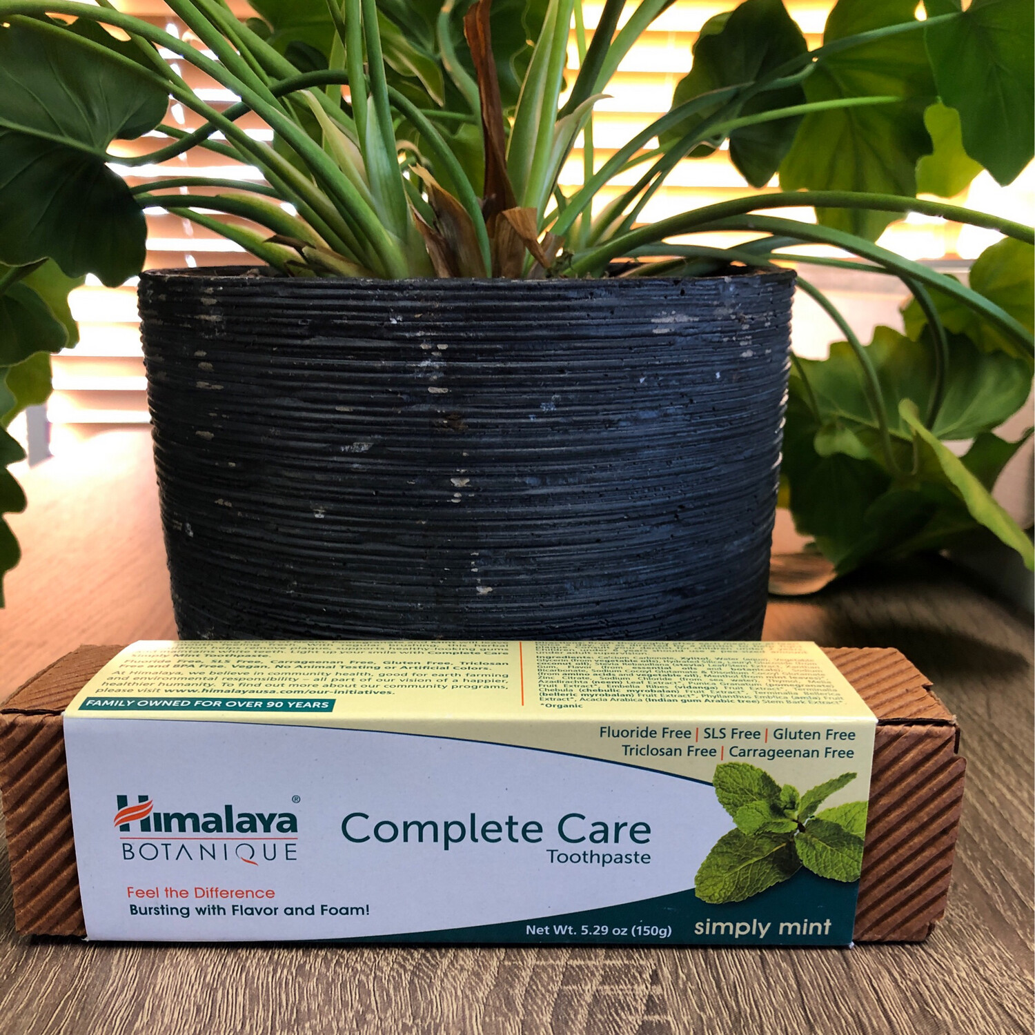 Complete Care Simply Mint Toothpaste Himalaya