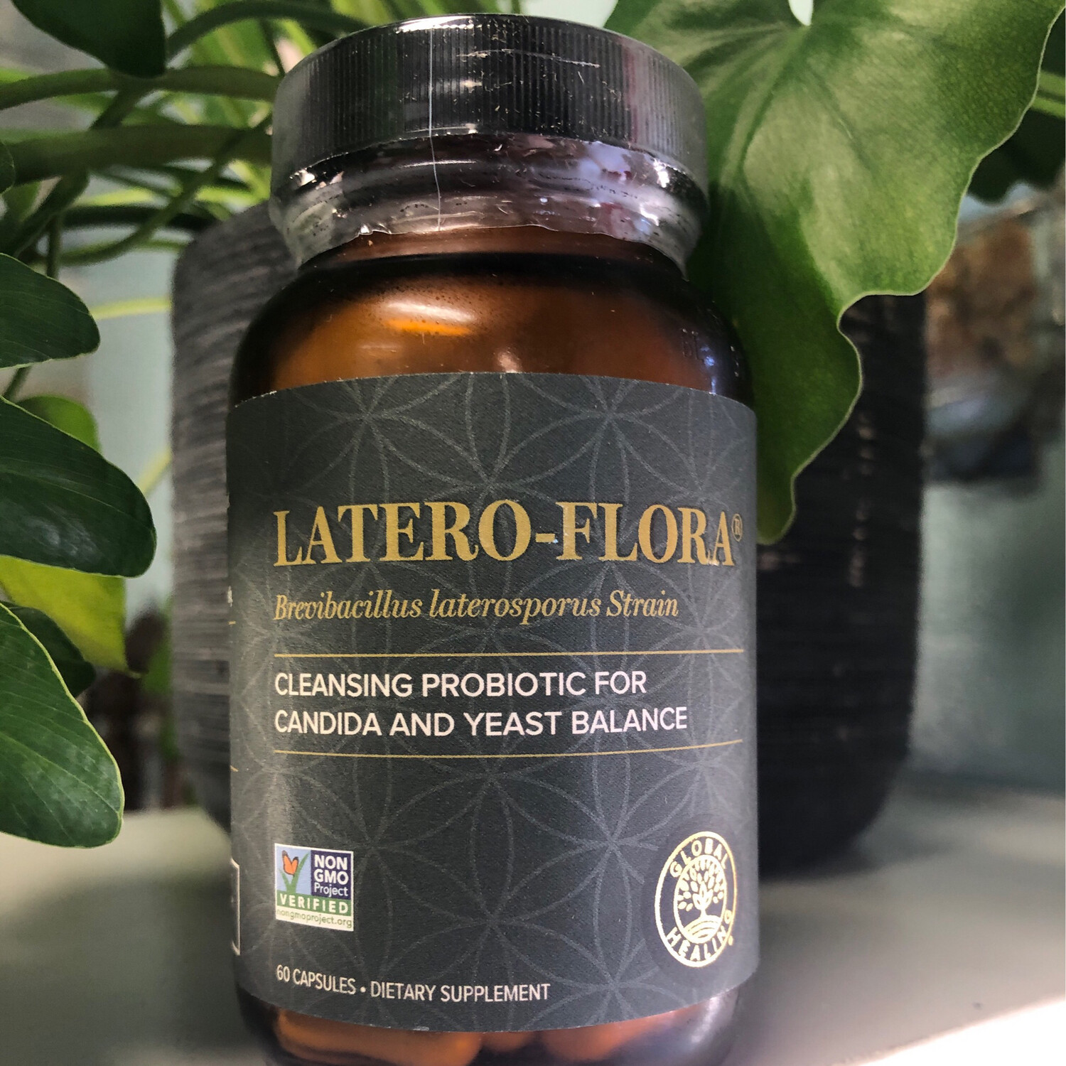 Latero-Flora Cleansing Probiotic