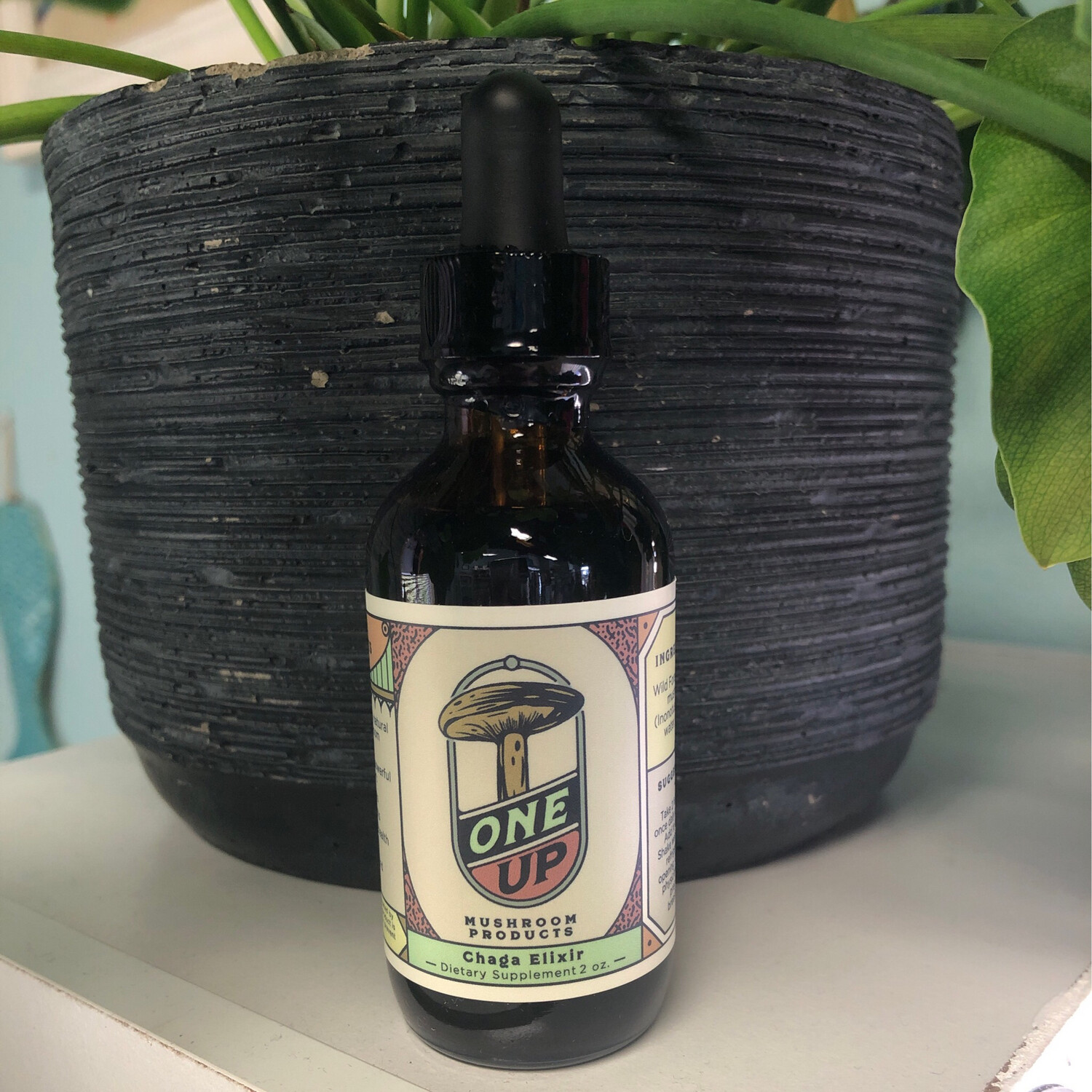 Chaga Elixer