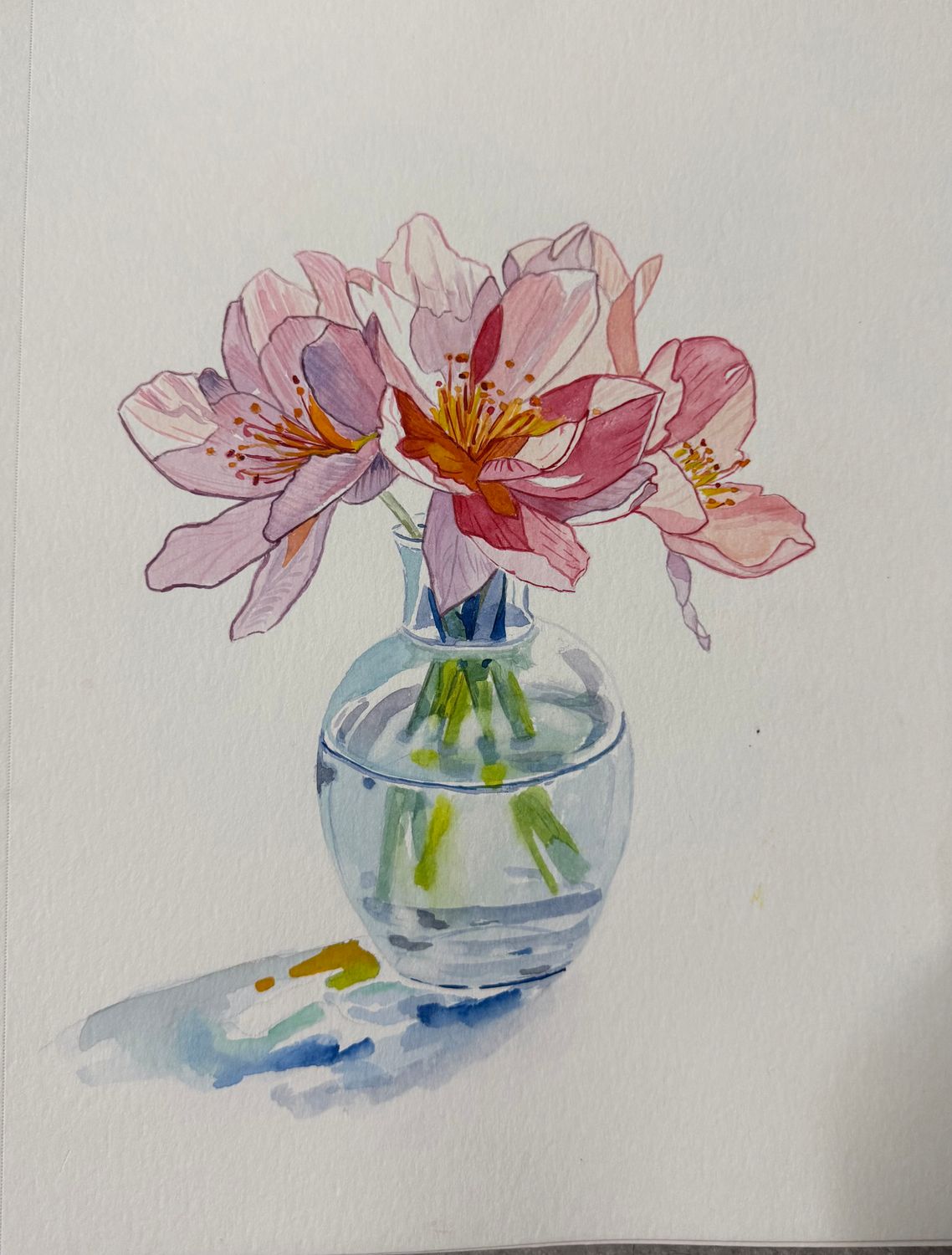 Elevated Watercolours