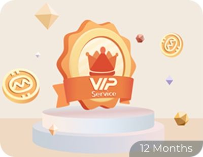 VIP PACKAGE - 12 Months (beIN+Sky)