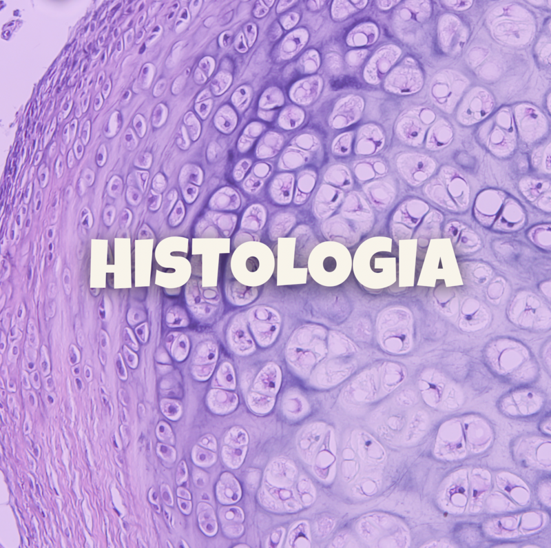 HISTOLOGIA