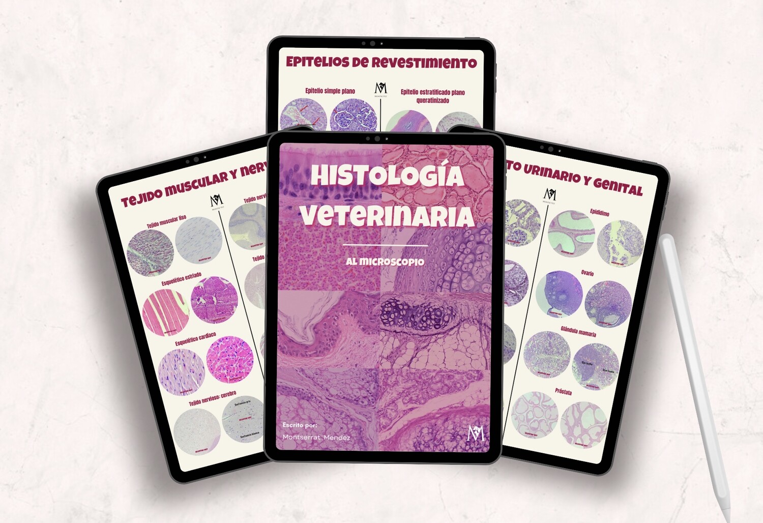 Histología al microscopio