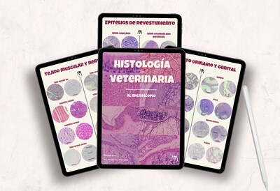 Histología al microscopio