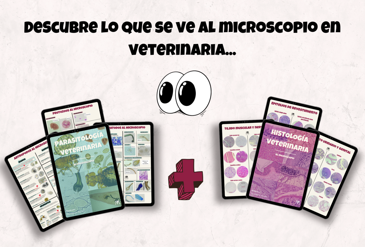 KIT todo al microscopio