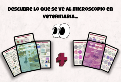 KIT todo al microscopio