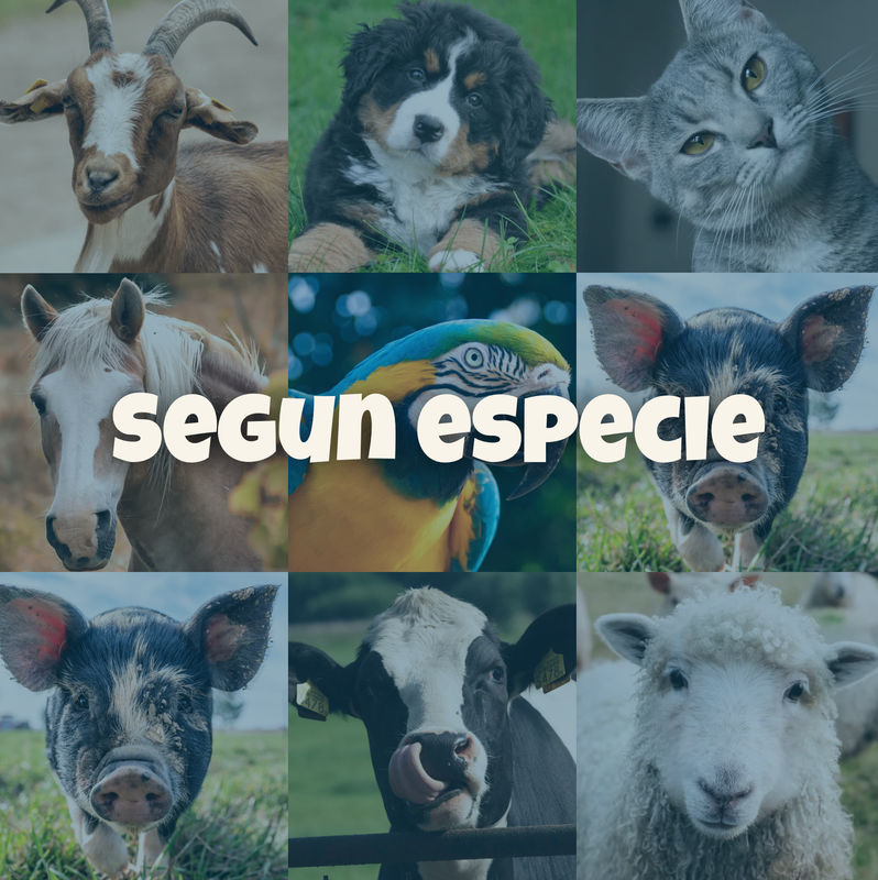 SEGÚN ESPECIE