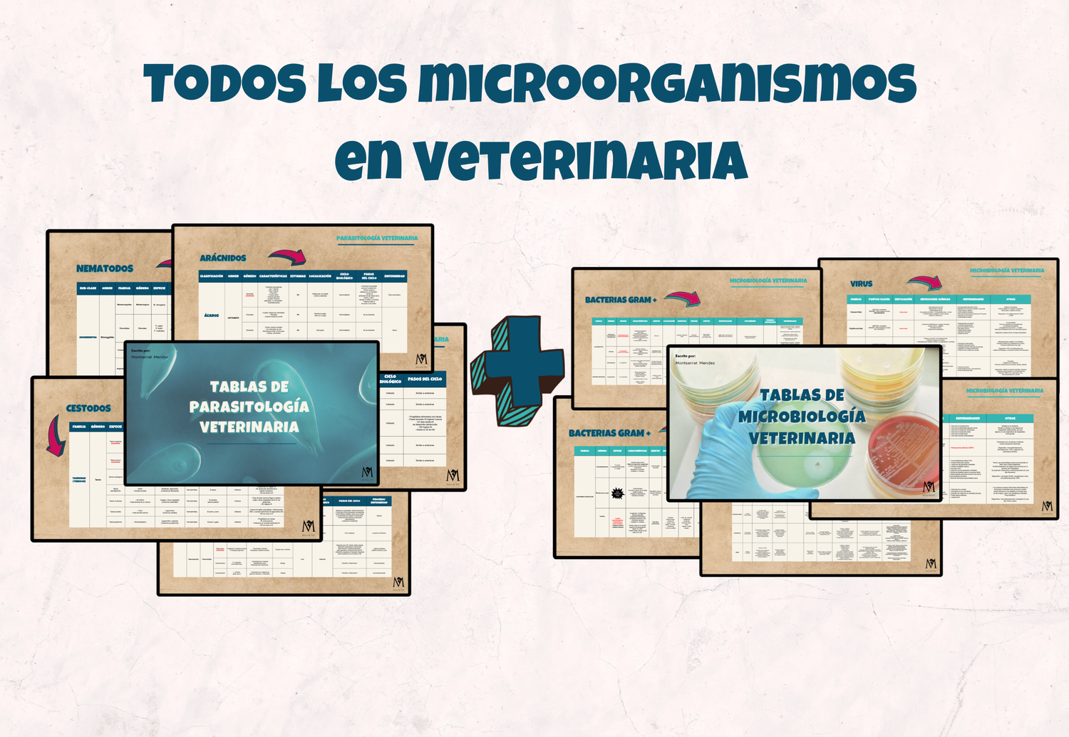 DUO de Microbiología y Parasitología