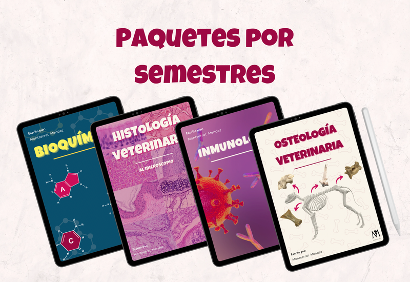 POR SEMESTRES