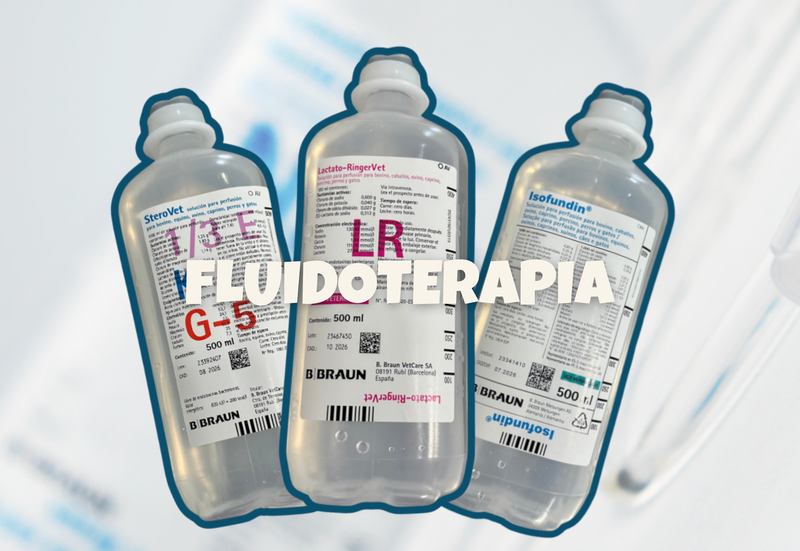 FLUIDOTERAPIA