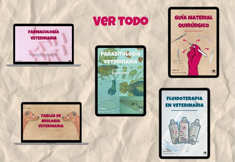 LIBROS DIGITALES