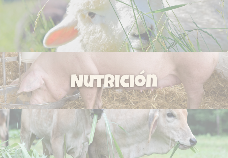 NUTRICIÓN