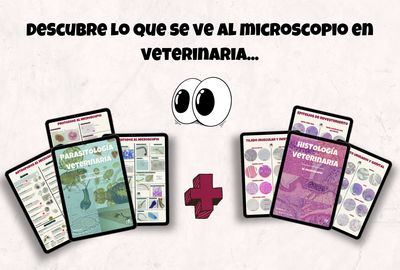 KIT todo al microscopio