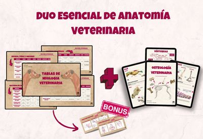 KIT DUO de Anatomía Veterinaria