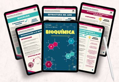 Bioquímica