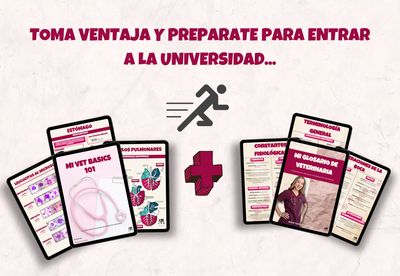 KIT Preuniversitario