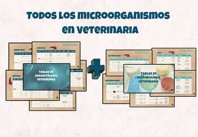 DUO de Microbiología y Parasitología