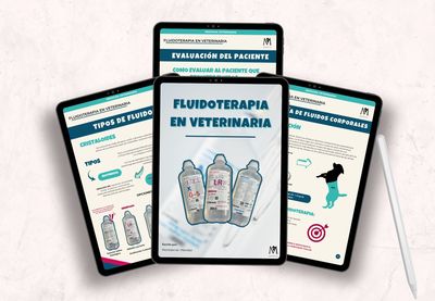 Fluidoterapia