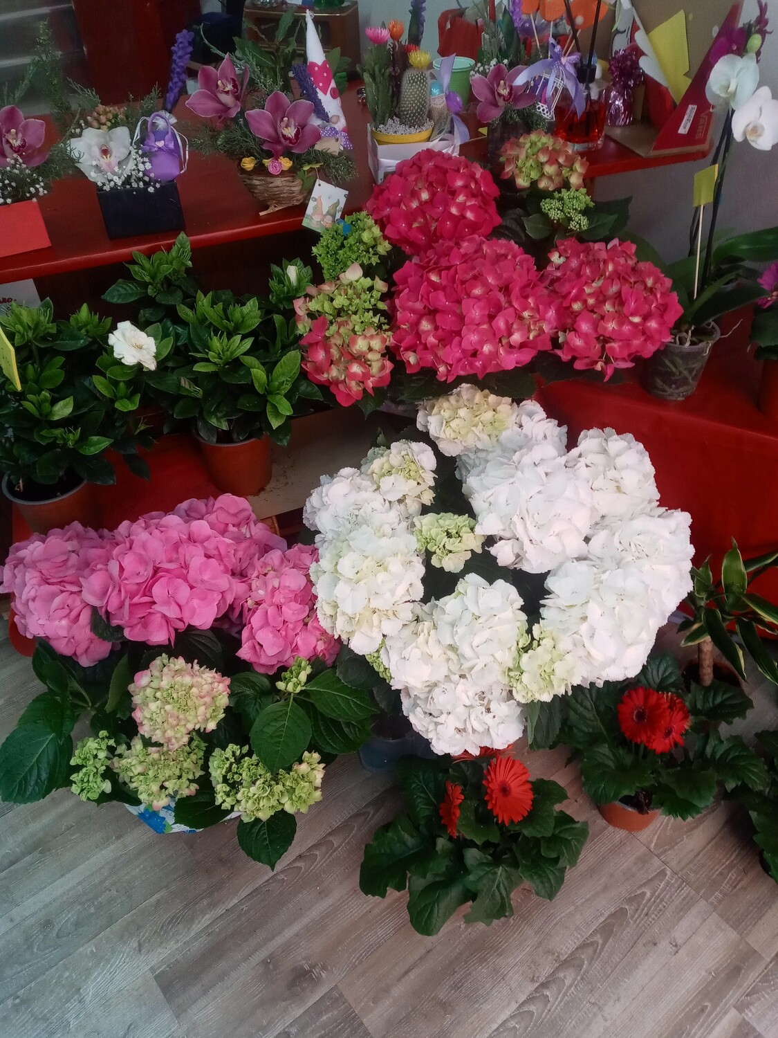 il fiore di valentina