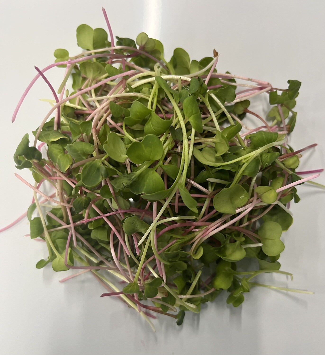 Single 100g Chef's Blend Microgreen Clamshell