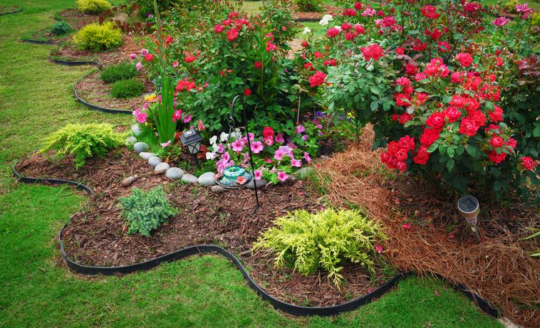Edging Repair