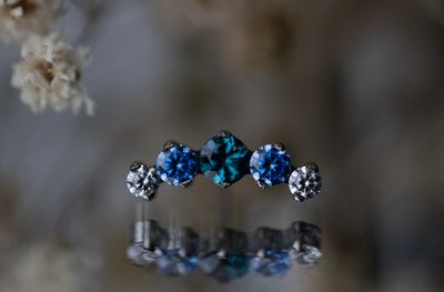 Titanium Threadless Prium