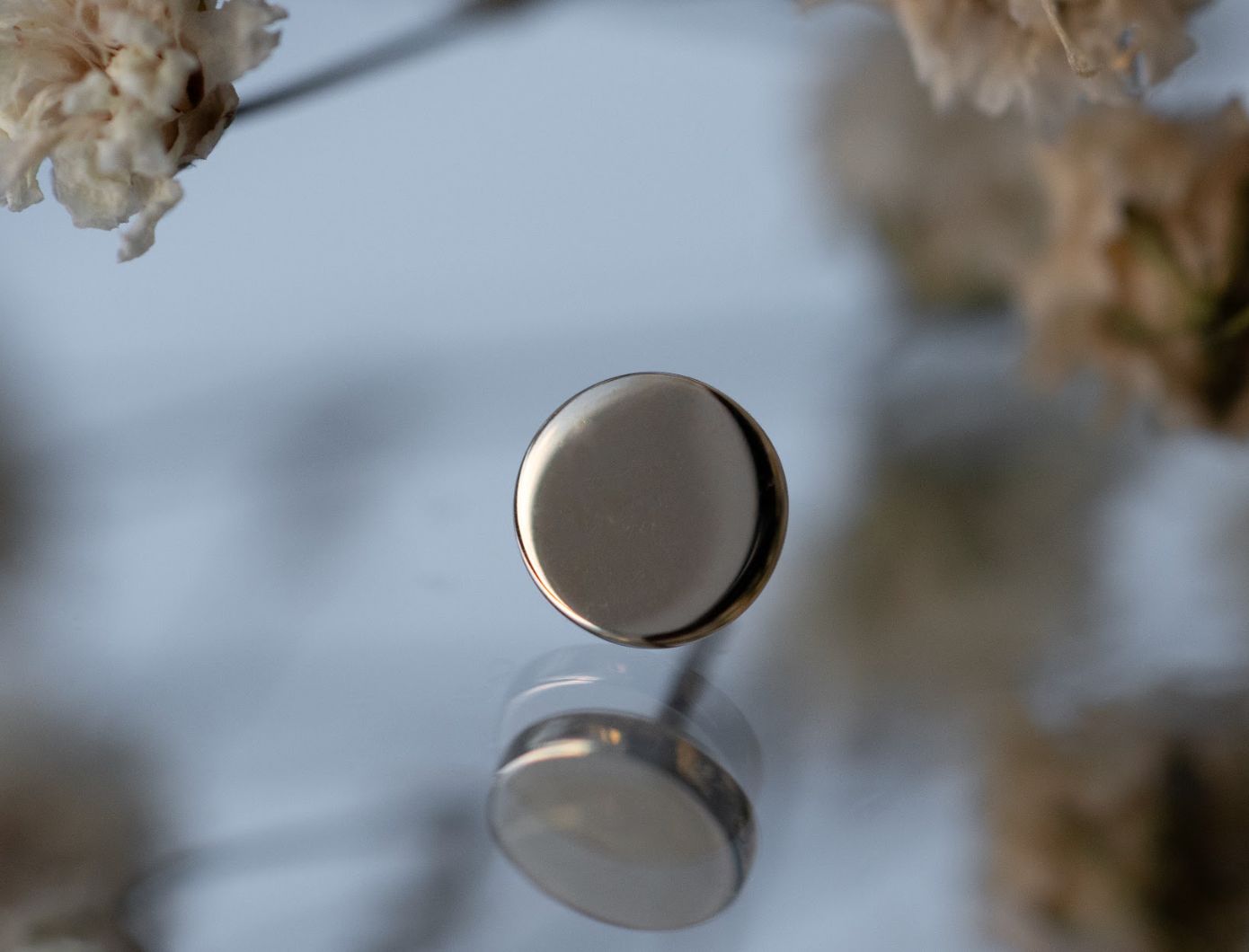 Threadless Polished Disk