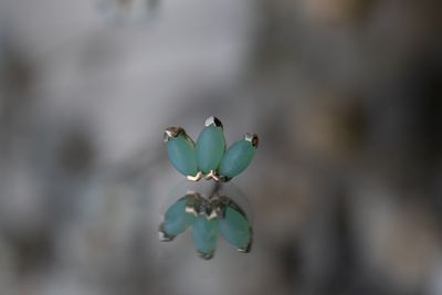 Threadless Marquise Fan - 3x1.5mm