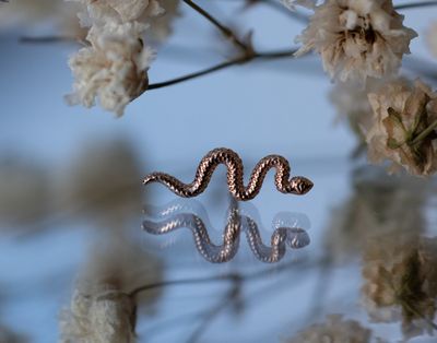 Threadless Delicate Snake