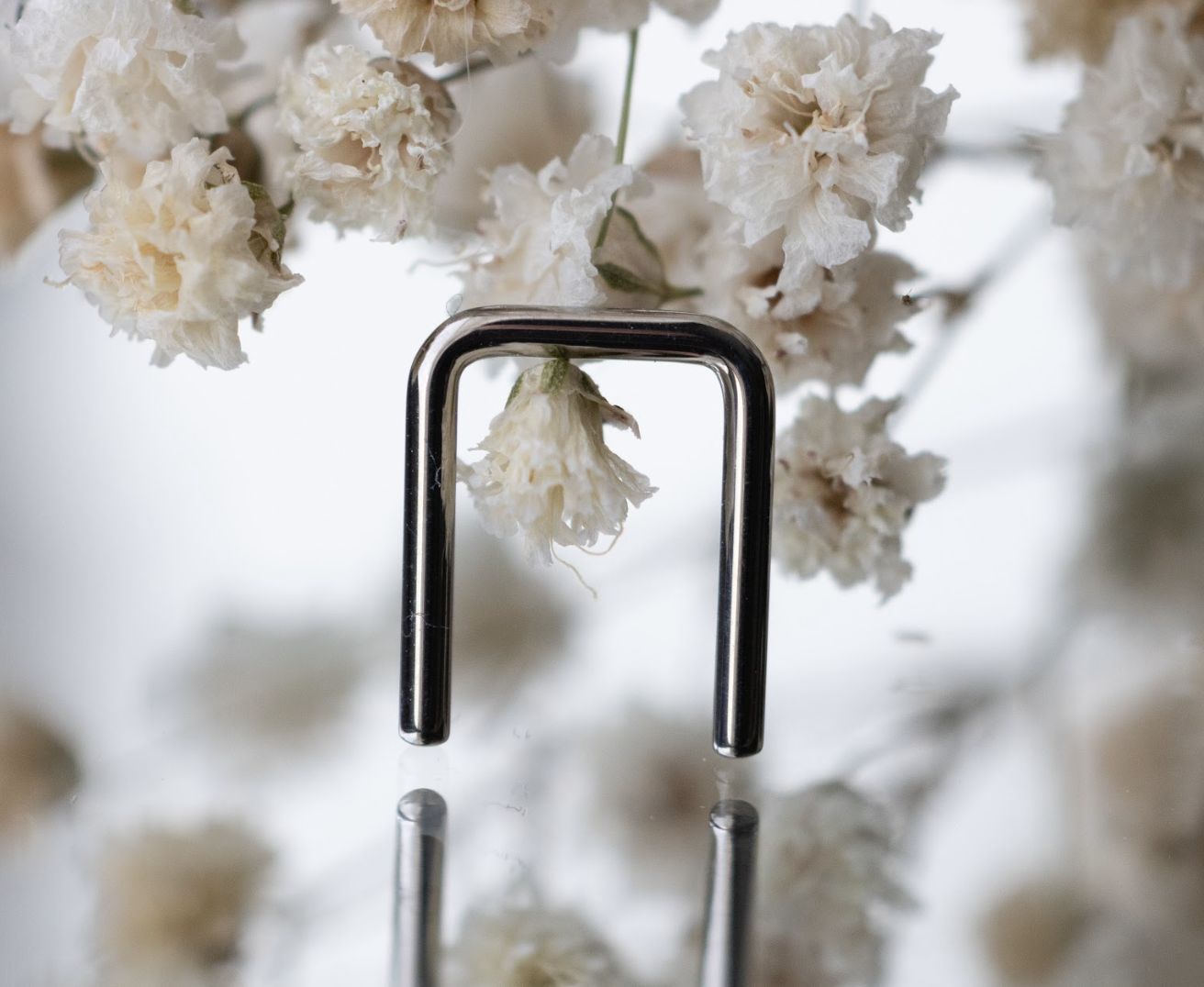 Titanium Septum Retainer, Gauge: 18ga